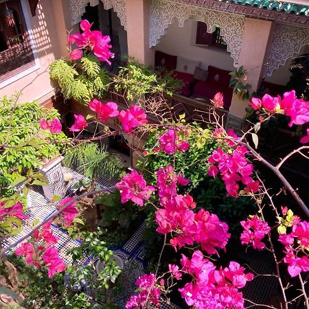 Riad Toyour- Riad Of Birds เฟส ภายนอก รูปภาพ