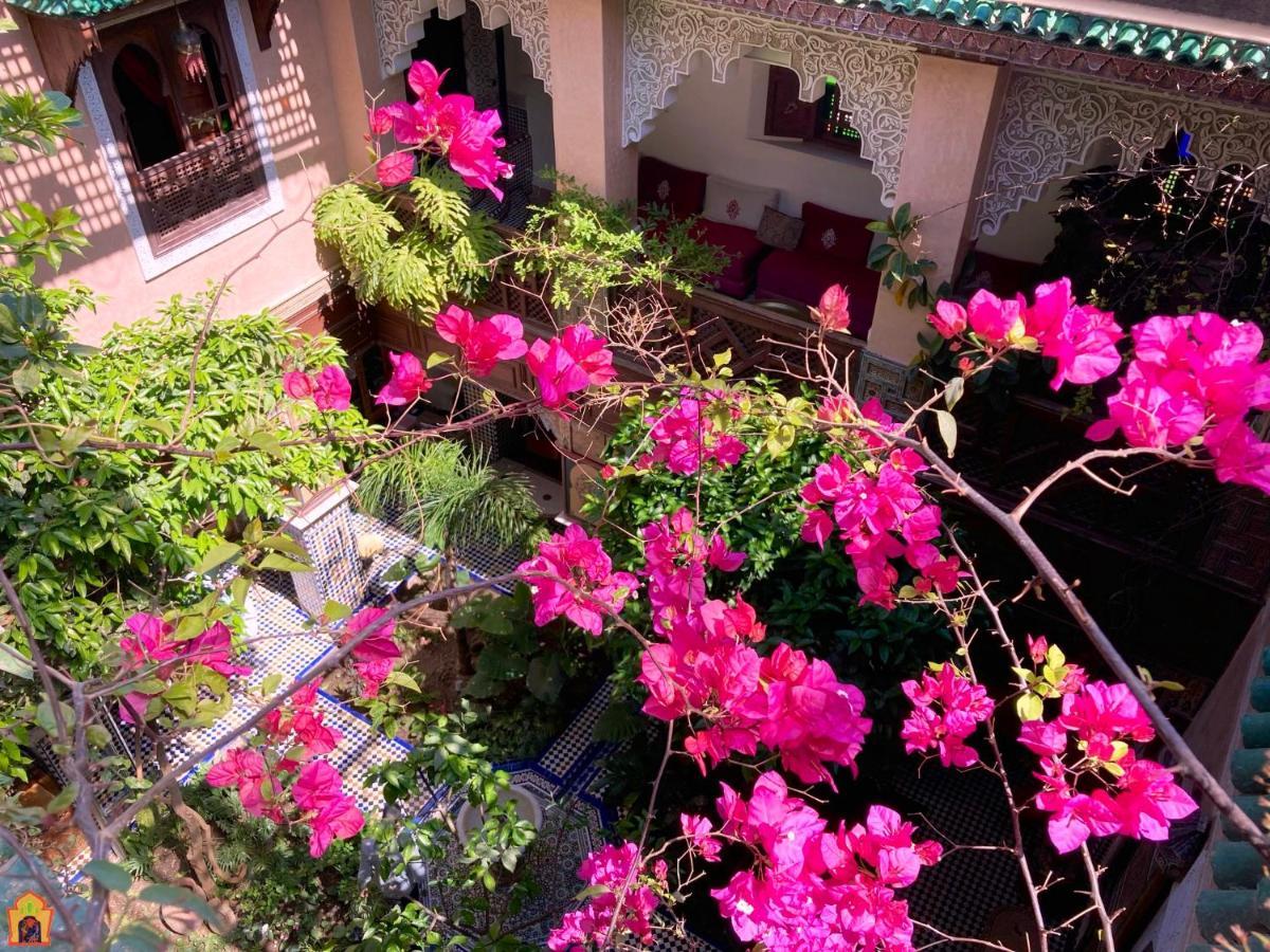 Riad Toyour- Riad Of Birds เฟส ภายนอก รูปภาพ