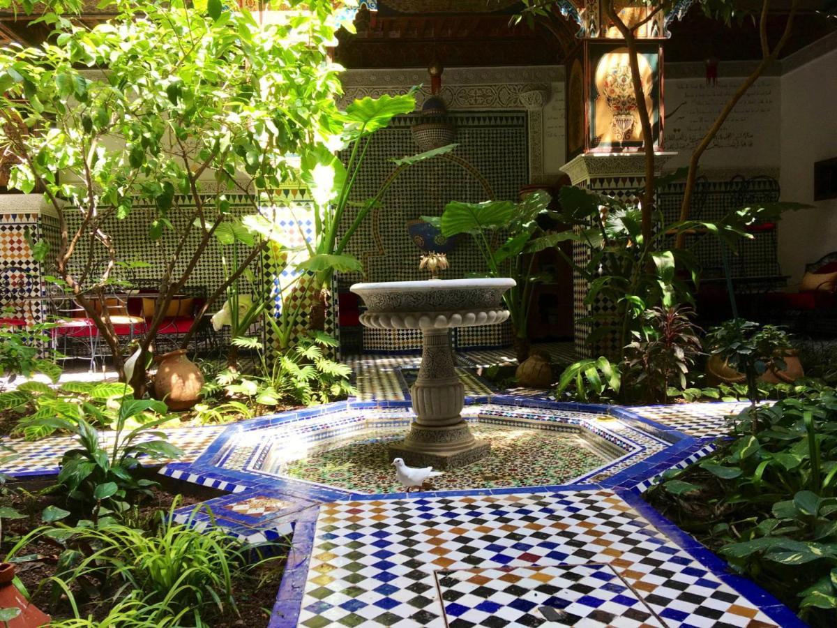 Riad Toyour- Riad Of Birds เฟส ภายนอก รูปภาพ