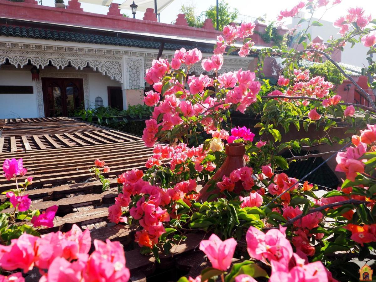 Riad Toyour- Riad Of Birds เฟส ภายนอก รูปภาพ