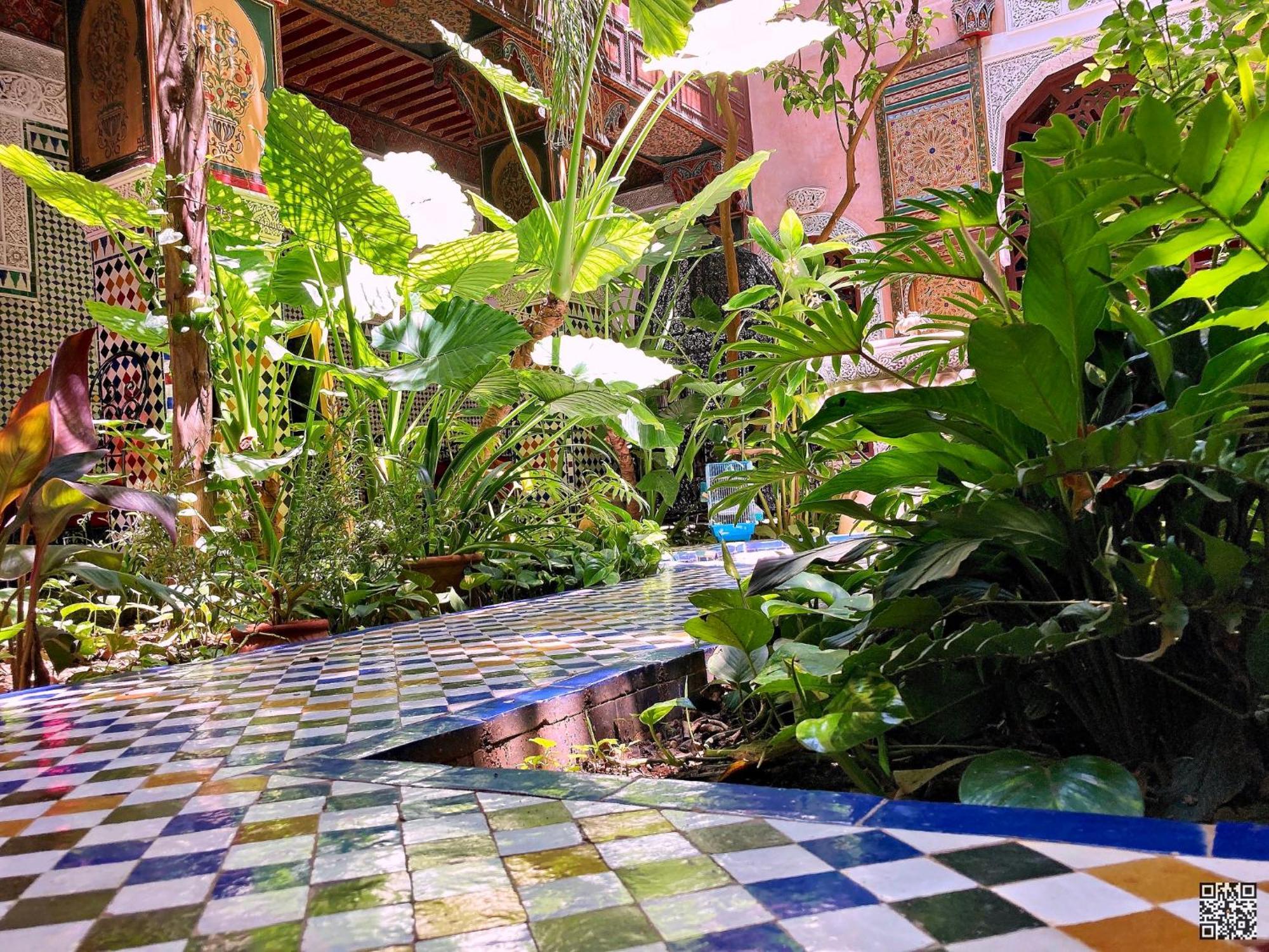 Riad Toyour- Riad Of Birds เฟส ภายนอก รูปภาพ
