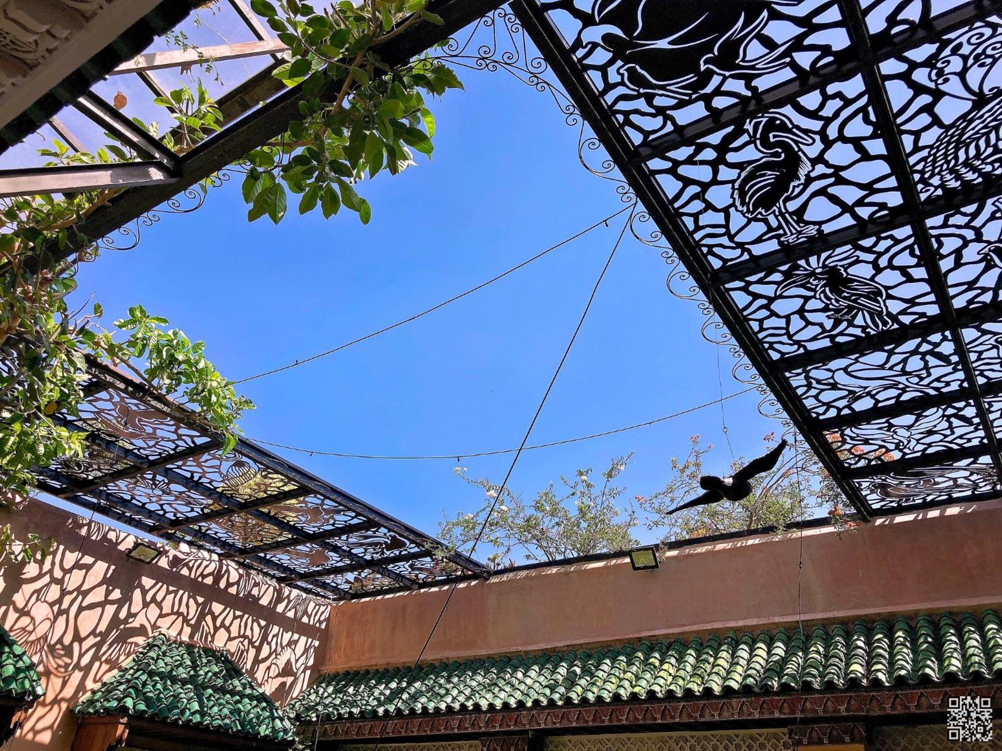 Riad Toyour- Riad Of Birds เฟส ภายนอก รูปภาพ