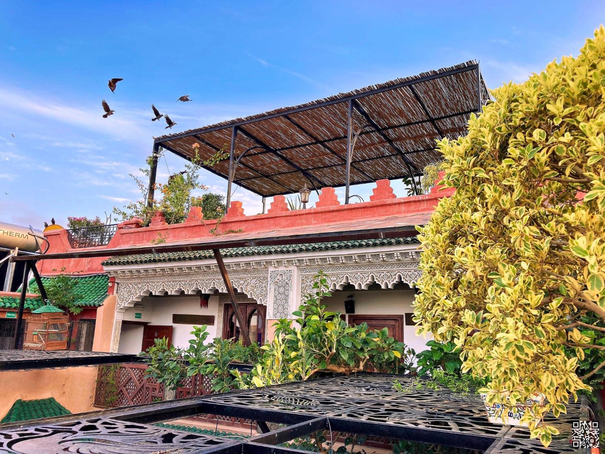 Riad Toyour- Riad Of Birds เฟส ภายนอก รูปภาพ
