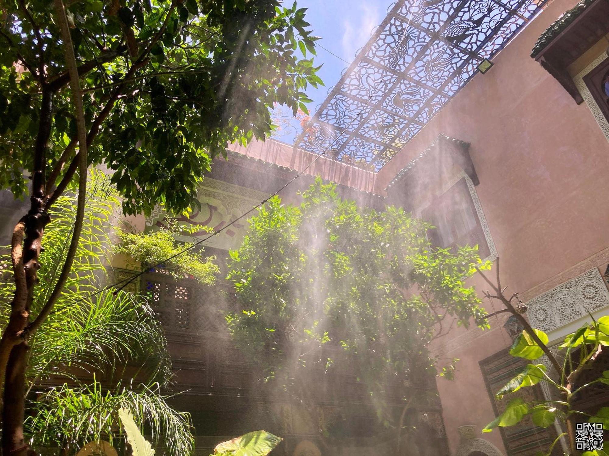 Riad Toyour- Riad Of Birds เฟส ภายนอก รูปภาพ