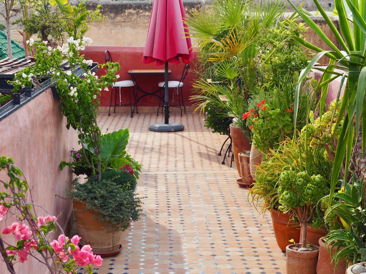 Riad Toyour- Riad Of Birds เฟส ภายนอก รูปภาพ